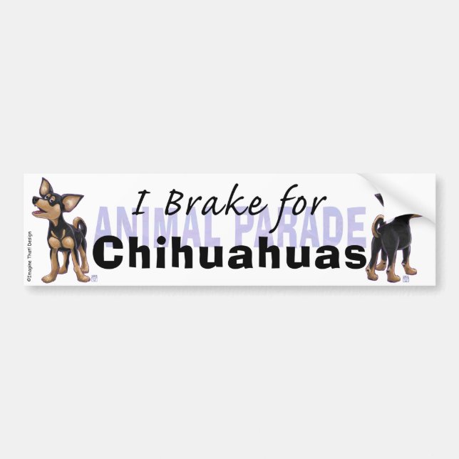 I Brake for Chihuahuas Bumper Sticker (Front)