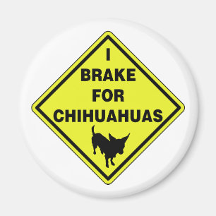 I Brake For Chihuahuas Magnet