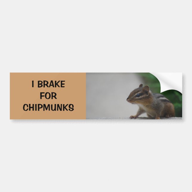 I Brake for Chipmunks Bumper Sticker (Front)