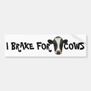 I Brake for Cows Bumper Sticker