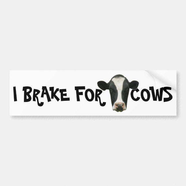 I Brake for Cows Bumper Sticker (Front)