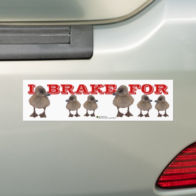 I BRAKE FOR Grey Duckling Photo Personalised Bumper Sticker (On Car)