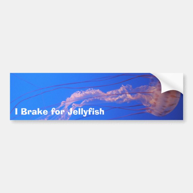 I Brake for Jellyfish Bumper Sticker (Front)