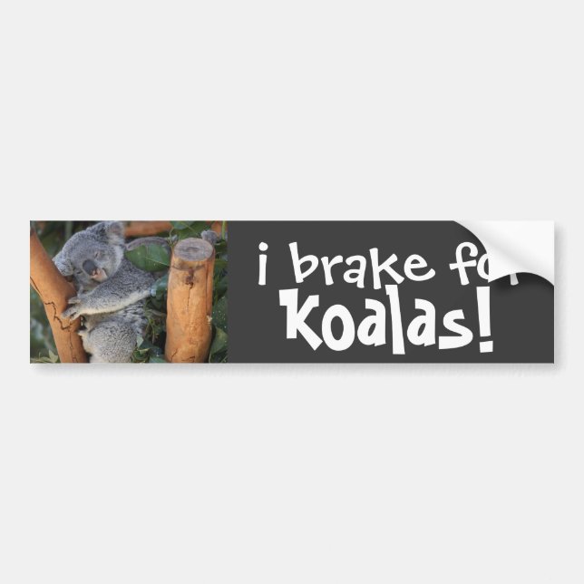 i brake for KOALAS! cute Bumper Sticker (Front)