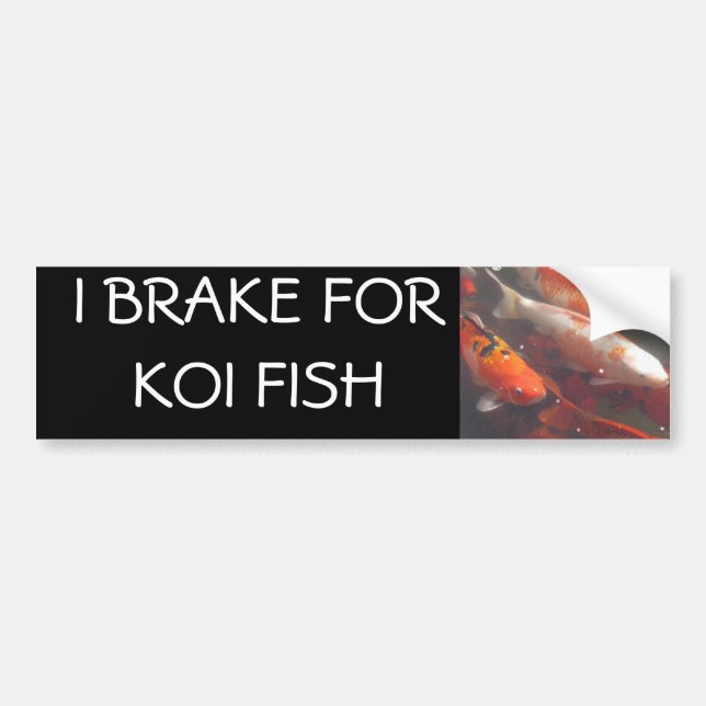 I BRAKE FOR KOI FISH BUMPER STICKER (Front)