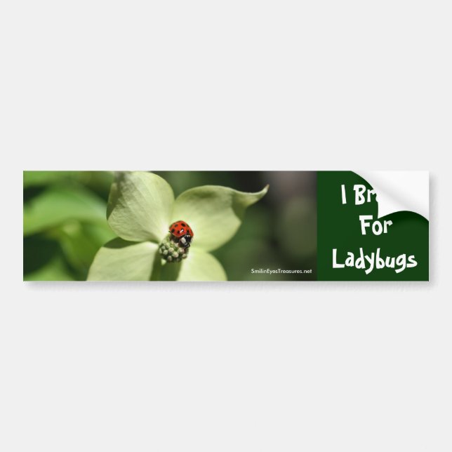 I Brake For Ladybugs Flower Photo Bumper Sticker (Front)