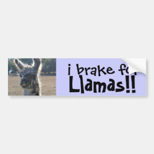 i brake for Llamas! cute Bumper Sticker