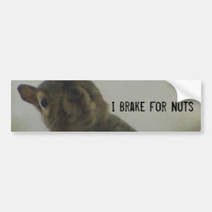 I Brake For Nuts Bumper Sticker