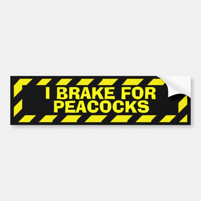 I brake for peacocks yellow caution sticker (Front)