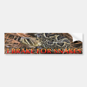 I Brake For Snakes Bumper Sticker