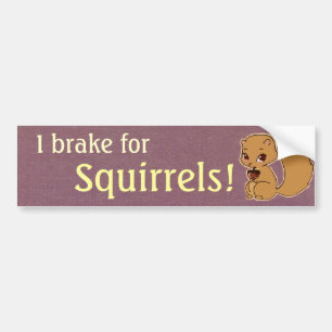 I Brake for Squirrels Bumper Sticker
