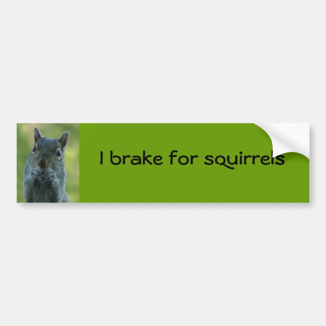 I brake for squirrels bumper sticker (Front)