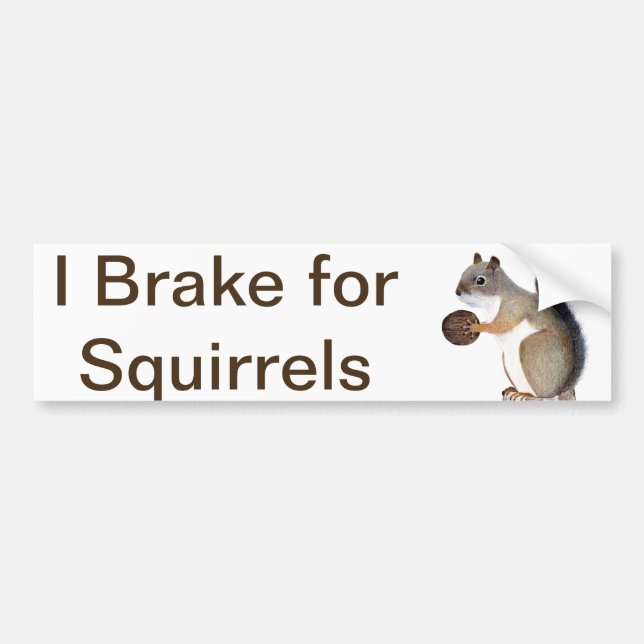 I Brake for Squirrels Bumper Sticker (Front)