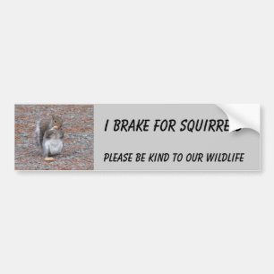 I Brake for Squirrels Bumper Sticker