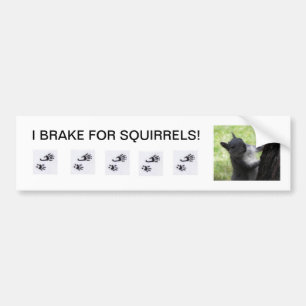 I BRAKE for Squirrels, bumper sticker. Sticker