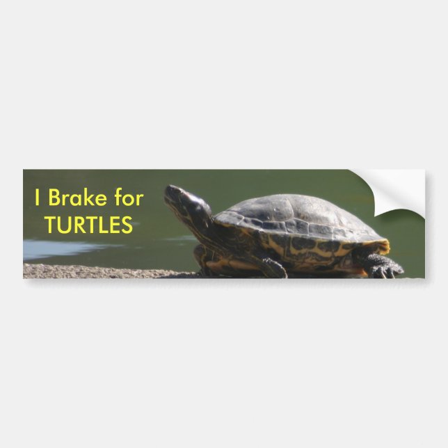 I Brake for TURTLES Bumper Sticker (Front)