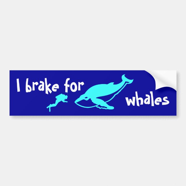 I brake for whales bumper sticker (Front)