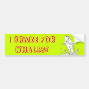 I Brake for Whales Bumper Sticker