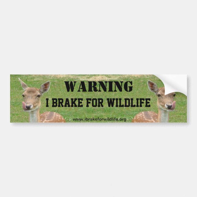 I Brake For Wildlife bumper sticker (Front)