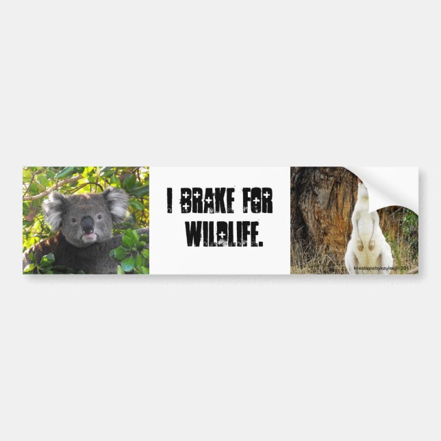 I brake for Wildlife Bumper Sticker (Front)