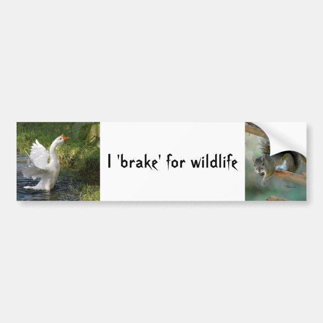 I brake for wildlife Goose Squirrel Bumper Sticker (Front)
