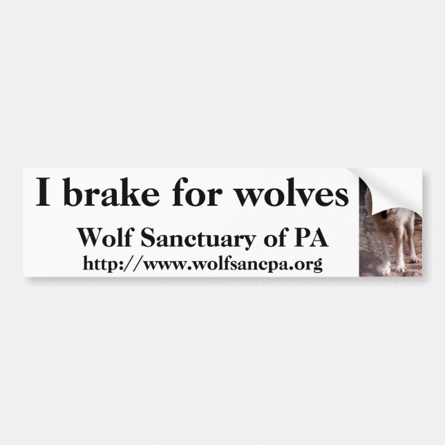 I brake for wolves bumper sticker (Front)