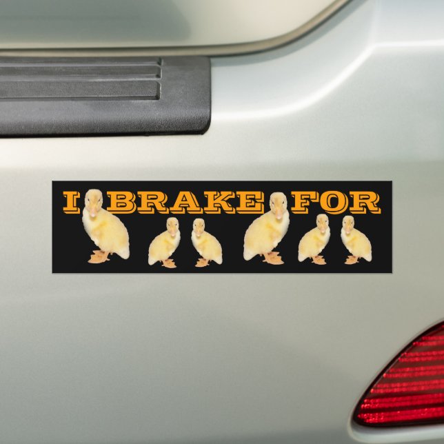 I BRAKE FOR Yellow Duckling Photo Personalised Bumper Sticker (On Car)