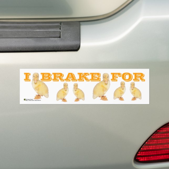 I BRAKE FOR Yellow Duckling Photo Personalised Bumper Sticker (On Car)