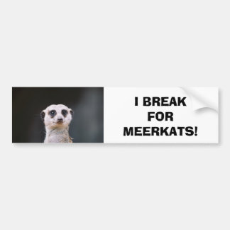 I Break for Meerkats! Bumper Sticker