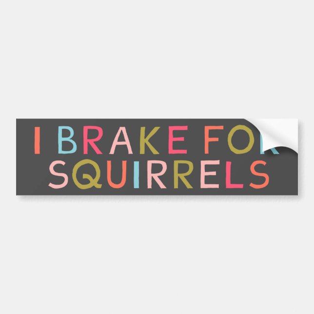 I BREAK FOR SQUIRRELS BUMPER STICKER (Front)