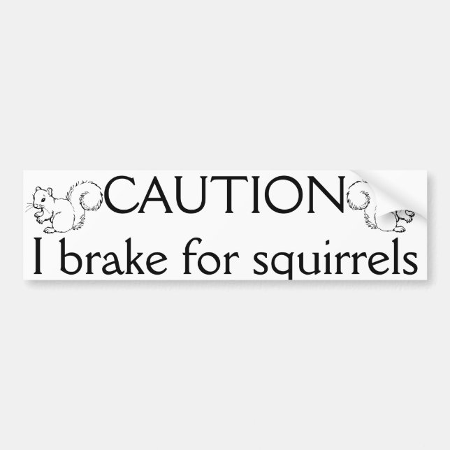 I break for squirrels bumper sticker (Front)