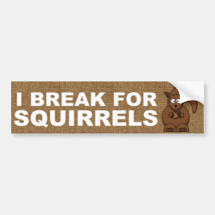 I break for Squirrels Bumper Sticker