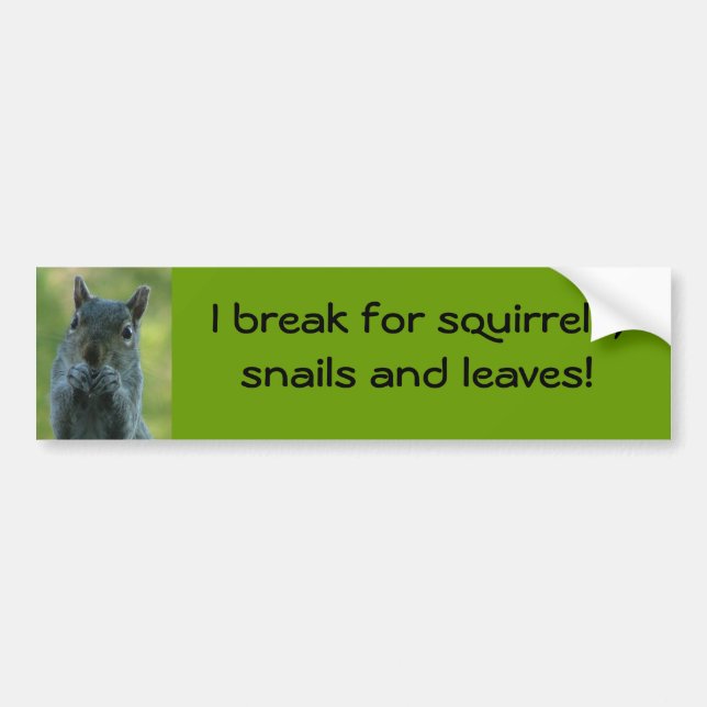 I break for squirrels, snails and leaves bumper sticker (Front)