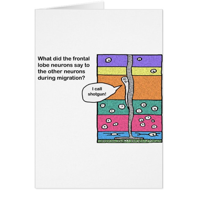 i_call_shotgun (Front)