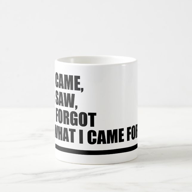 I came, I saw, I forgot what I came for - funny  Coffee Mug (Center)