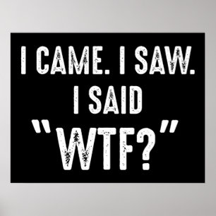 I Came. I Saw. I Said "WTF?" Funny Quote Poster