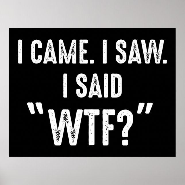 I Came. I Saw. I Said "WTF?" Funny Quote Poster (Front)