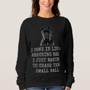 I Came In Like A Wrecking Ball Funny Dog Dad and D Sweatshirt
