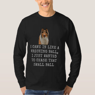 I Came In Like A Wrecking Ball Funny Dog Dad and D T-Shirt