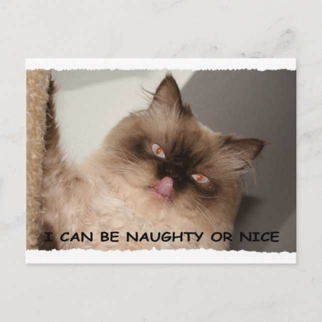 I CAN BE NAUGHTY OR NICE HOLIDAY POSTCARD (Front)