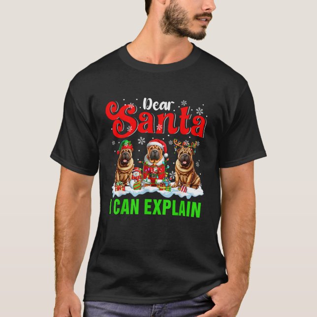 I Can Explain Xmas Three Santa Reindeer Elf Shar P T-Shirt (Front)
