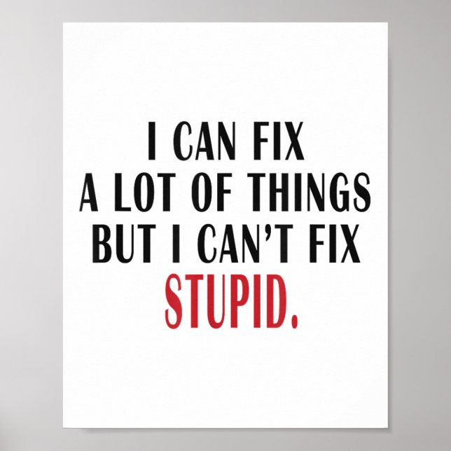 I Can Fix A Lot Of Things But I Can't Fix Stud Mem Poster (Front)