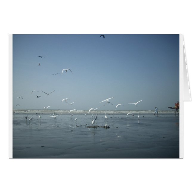 I can fly (Front Horizontal)