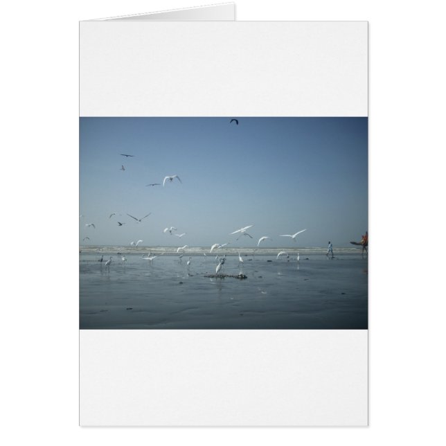 I can flying (Front)