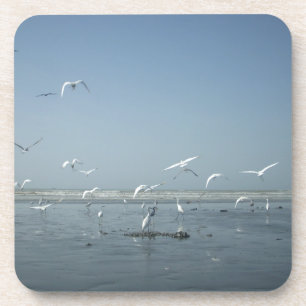 I can flying coaster