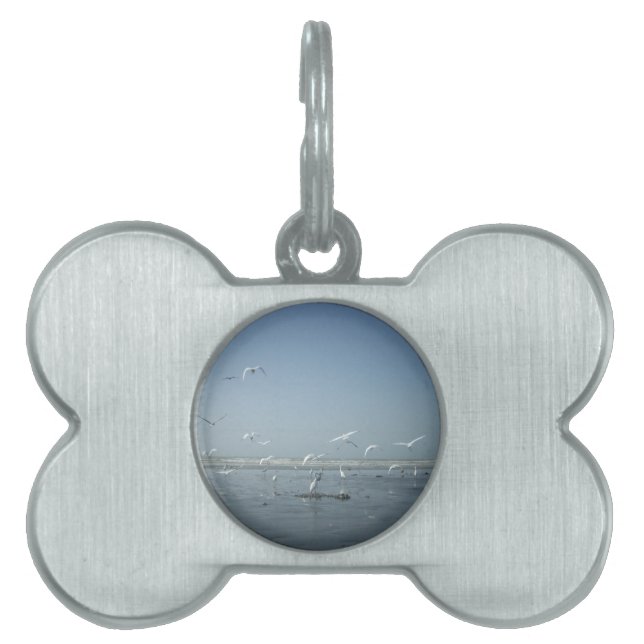 I can flying pet tag (Front)
