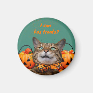 i Can Has Treats Cat Magnet