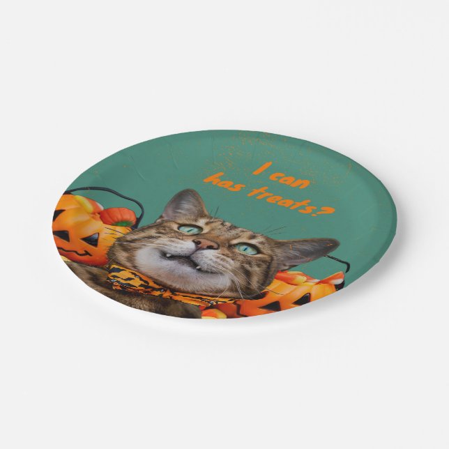 I Can Has Treats Round Paper Plates (Angled)