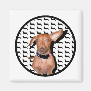 I Can Hear You Magnet