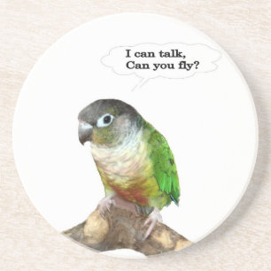 I can talk, can you fly? coaster